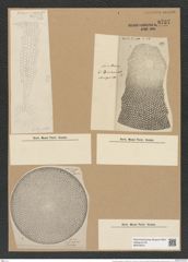 Coscinodiscus gigas var. diorama Grun. (de-Toni-Nr.: Genus 202, Species 5019) Zeichnungen Sammlung Grunow Nr. 8737 (NHMW-BOT-W0378319)